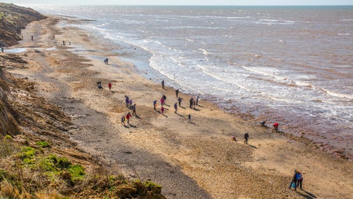 About twenty people scour the beach at Compton for fossils fallen from the cliffs